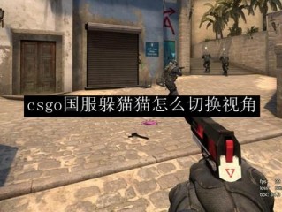 csgo国际服如何进入躲猫猫？（国外服务器躲避警察）