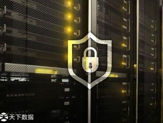 服务器金盾ddos?（服务器金盾能有什么用)