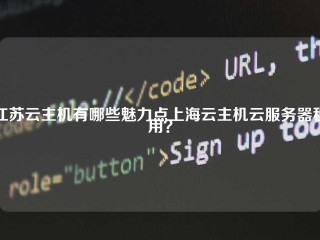 江苏云主机有哪些魅力点上海云主机云服务器租用？