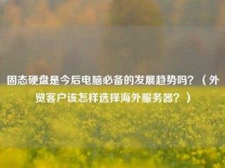 固态硬盘是今后电脑必备的发展趋势吗？（外贸客户该怎样选择海外服务器？）