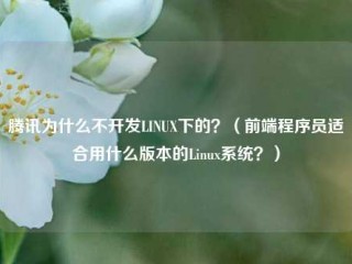 腾讯为什么不开发linux下的？(前端程序员适合用什么版本的linux系统？)