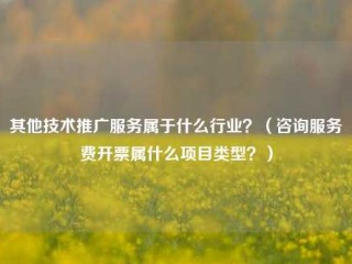 其他技术推广服务属于什么行业？(咨询服务费开票属什么项目类型？)