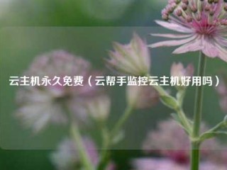 云主机永久免费（云帮手监控云主机好用吗）