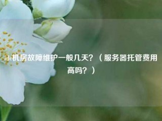 idc机房故障维护一般几天？（服务器托管费用高吗？）