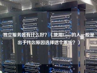 独立服务器有什么好？(使用linux的人一般是出于什么原因选择这个系统？)