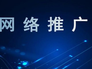 龙岗网络推广公司怎么样,app网络推广工作怎么样