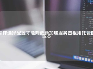 怎样选择配置才能降低新加坡服务器租用托管的成本