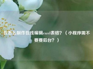 在怎么制作在线编辑excel表格？（小程序需不要要后台？）