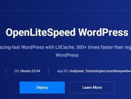 OpenLiteSpeed WordPress一键安装教程：从入门到精通