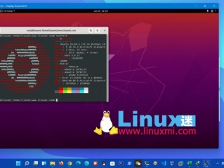 wsl和ubuntu