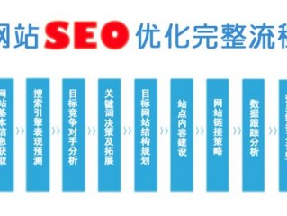 seo的案例,网站seo搜索引擎优化案例