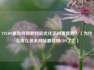 TTCDN是如何帮助网站优化访问速度的？（为什么现在很多网站都在用CDN了？）