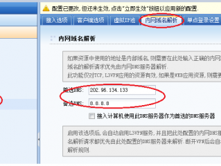 域名怎么使用双DNS？详细教程与注意事项