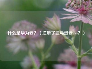 什么是华为云？（注册了亚马逊云aws？）