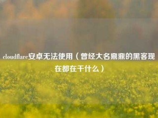 cloudflare安卓无法使用（曾经大名鼎鼎的黑客现在都在干什么）