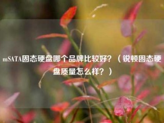 mSATA固态硬盘哪个品牌比较好？（锐顿固态硬盘质量怎么样？）