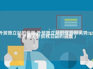 外贸独立站的优势,外贸独立站的优势和劣势2022年更新（外贸独立站的前景）