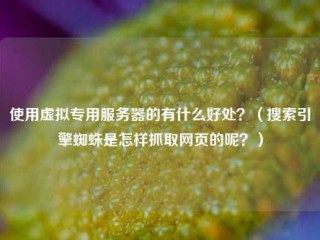 使用虚拟专用服务器的有什么好处？(搜索引擎蜘蛛是怎样抓取网页的呢？)