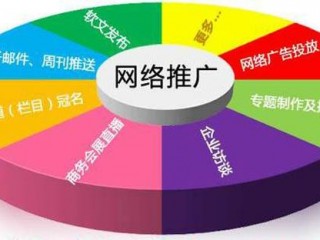 做网站的优化 （做网站优化的公司）