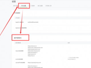 小程序测试号服务器域名怎么修改？（域名设置展示问题-域名及账户问题）