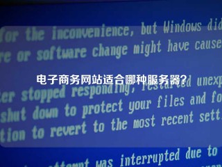 电子商务网站适合哪种服务器？