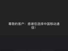 手机老是弹出什么运营商消息，怎么回事呀，老弹出这个？（版本显示这个是什么情况啊）