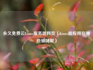 永久免费云Linux服务器网页（Linux能应用在哪些领域呢）