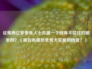 征集两亿多单身人士共建一个终身不花钱的相亲网？(现在有哪些免费大容量的网盘？)