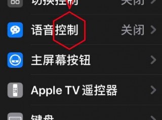 苹果6s语音控制怎么用？（6s语音控制怎么设置，苹果6s plus怎样设置语音控制）