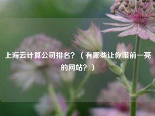 上海云计算公司排名？（有哪些让你眼前一亮的网站？）