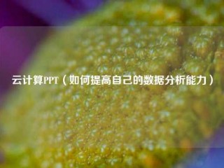 云计算PPT（如何提高自己的数据分析能力）