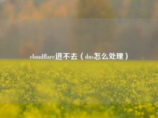 cloudflare进不去（dns怎么处理）