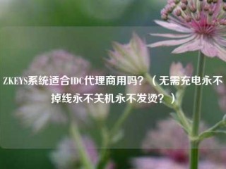 ZKEYS系统适合IDC代理商用吗？（无需充电永不掉线永不关机永不发烫？）