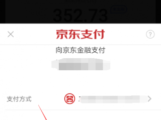 为什么京东直接跳转京东支付？（请帮忙检查一下为什么现在点击还会跳转到上）