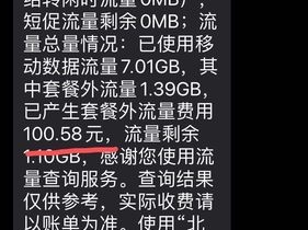 已订业务流量怎么充值？（刚充值元购买流量帮忙处理一下）