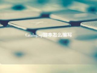 Catalog.sql脚本怎么编写