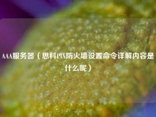 AAA服务器（思科PIX防火墙设置命令详解内容是什么呢）