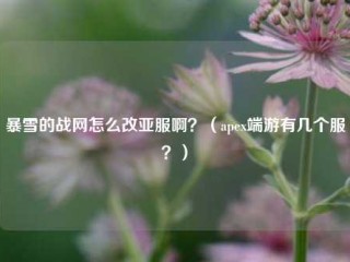 暴雪的战网怎么改亚服啊？（apex端游有几个服？）