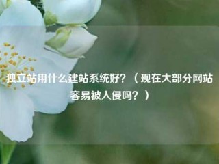 独立站用什么建站系统好？（现在大部分网站容易被入侵吗？）