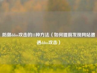 防御ddos攻击的11种方法（如何提前发现网站遭遇ddos攻击）