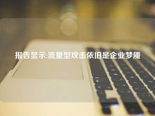 报告显示:流量型攻击依旧是企业梦魇