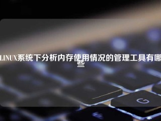 LINUX系统下分析内存使用情况的管理工具有哪些