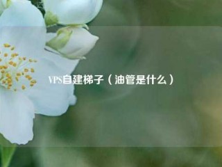 VPS自建梯子（油管是什么）