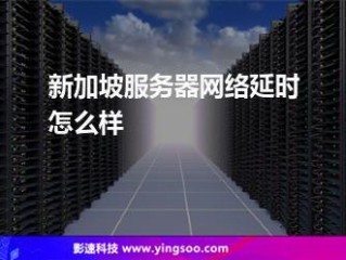 新加坡服务器延迟大吗？国外服务器延迟太高怎么办？