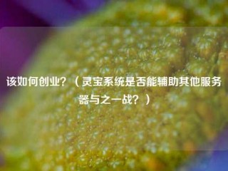 该如何创业？（灵宝系统是否能辅助其他服务器与之一战？）