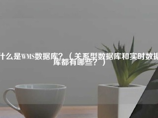 什么是WMS数据库？（关系型数据库和实时数据库都有哪些？）