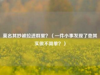 莫名其妙被拉进群里？（一件小事发现了他其实很不简单？）