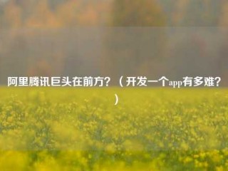 阿里腾讯巨头在前方？（开发一个app有多难？）