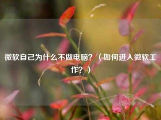 微软自己为什么不做电脑？（如何进入微软工作？）