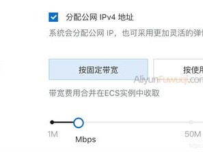 怎样计算网站服务器所需的带宽？（服务器带宽怎么看）